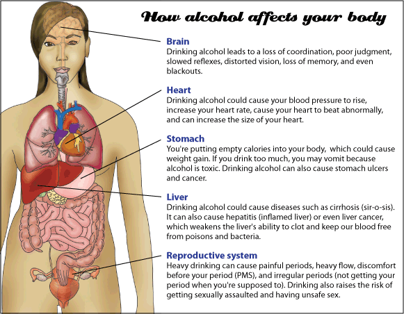 How alcohol affects the body.
